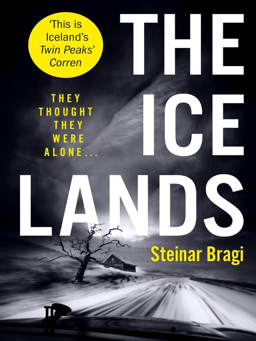 Cover image for The Ice Lands